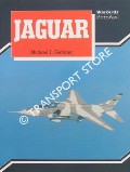 Jaguar by GETHING, Michael J.